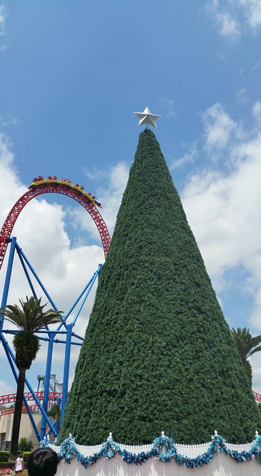 14947942_10154724798647386_3667179875713479505_n