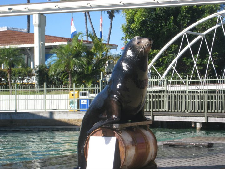 225627_10150322734777386_7622831_n